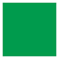 Creativ Company Gekleurd karton gras groen 270gr, 100 vellen