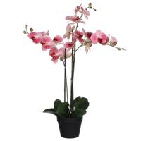 Mica Decorations Orchidee bloem kunstplant - roze - H75 x B50 cmÂ   -