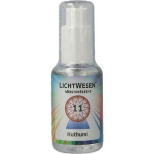 Lichtwesen Kuthumi tinctuur 11