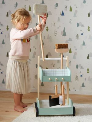 Houten schoonmaakkar groen