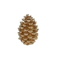 Sculptuur Dennenappel 21x21x29 cm Goud