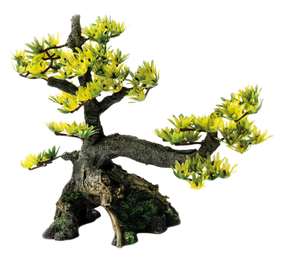 Superfish Deco Bonsai M - Zen Minituurbomen voor Aquascaping, Veilig voor Vissen
