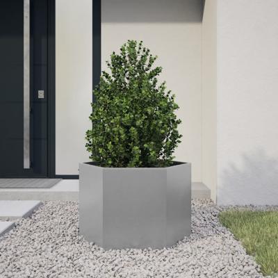 Plantenbak zeshoek 69x60x45 cm gegalvaniseerd staal