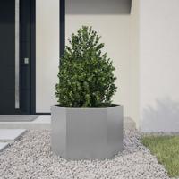 Plantenbak zeshoek 69x60x45 cm gegalvaniseerd staal