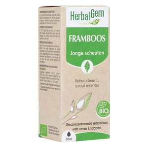 Herbalgem Frambozenstruik Bio 30ml