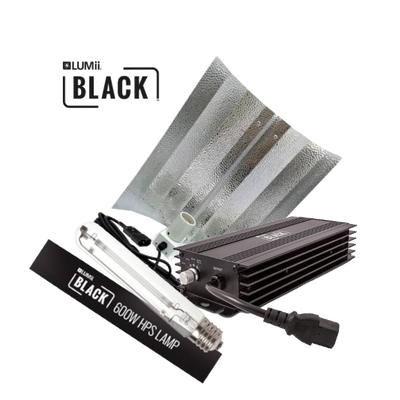 LUMii Lumii Black Set