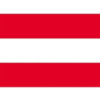 10x Stickertjes Oostenrijk vlag 10 cm   -
