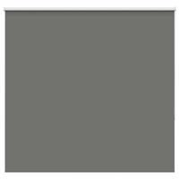 Rolgordijn verduisterend 165x175 cm stofbreedte 161,6 cm grijs
