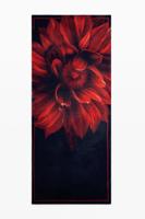 Rechthoekige bloemen sjaal - BLACK - U