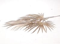 HBX Natural Living Kunsttak areca carpus h72cm champagne