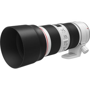 Canon EF 70-200mm f/4L IS II USM MILC Standaardzoomlens Zwart, Wit
