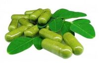 Moringa Oleifera capsules - thumbnail