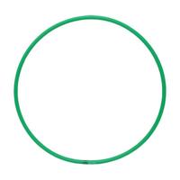 RHYTHMIC GYMNASTICS HOOP ADULTS