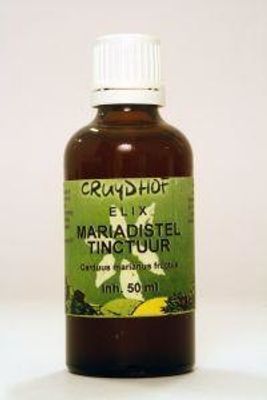 Natura Sanat Cinnamomum zeyl cort / kaneel tinctuur bio (500 ml)