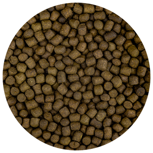 Fd Food Color-Up M 5,7mm - Intensieve Kleurversterkend Koi Voer - 3kg Pakket