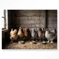 Glasschilderij The Chicken Barn 80x120