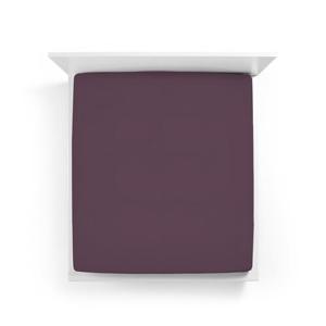 Bella Donna Bella Donna Jersey La Piccola Duo 1 Splittopperhoeslaken 160x190-200 cm violett-0546