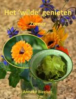 Het ´wilde´ genieten (Paperback)