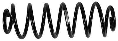 Sachs Schroefveer 994816