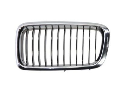 Radiateurgrille 6502070075995P