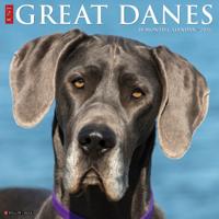 Duitse Dog Kalender 2026