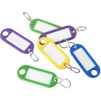 Connex sleutelhanger kunststof 6st co - ky6200000