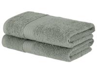 LIVARNO home 2 Handdoeken 100 x 50 cm (Mint)