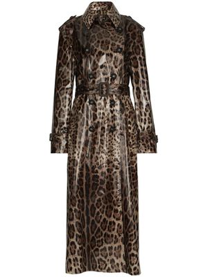 Dolce & Gabbana trench ceinturé à imprimé léopard - Marron