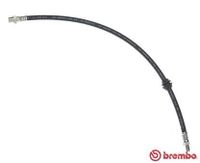 Remslang T06046