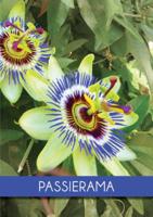 Passierama (Paperback)