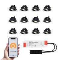 Set van 12 Sienna Smart LED Mini Inbouwspots - Veranda spots - 12V 3W 200lm - Dimbaar - Kantelbaar - Wifi & Bluetooth - 2700K - IP44 - Zwart