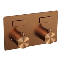BRAUER Copper Edition - 2 functies - inbouwthermostaat - inbouwdeel - drukknoppen - in/afbouwdelen - koper geborsteld PVD 5-GK-155