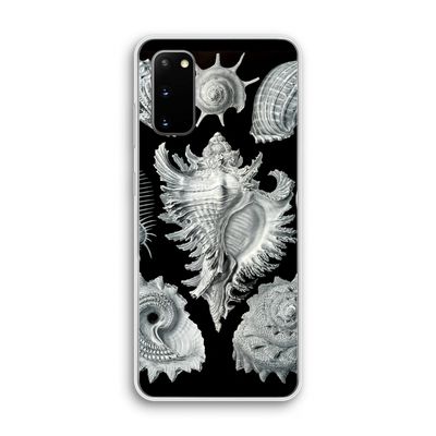 Haeckel Prosobranchia: Samsung Galaxy S20 Transparant Hoesje
