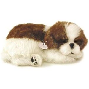 Perf Perfect petzzz soft shih tzu