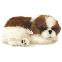 Perf Perfect petzzz soft shih tzu Perf Perfect petzzz soft shih tzu