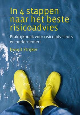 In 4 stappen naar het beste risicoadvies (Paperback)