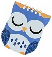 LG Imports notitieboekje uil junior 9,5 x 8 cm papier blauw - thumbnail