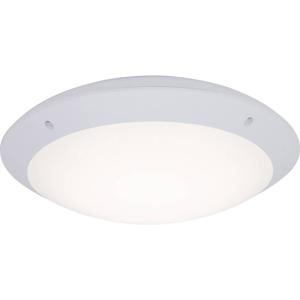 Brilliant G96053/05 Medway Buitenplafondlamp LED LED vast ingebouwd 12 W Wit