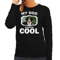 Berner sennen honden sweater / trui my dog is serious cool zwart voor dames - thumbnail