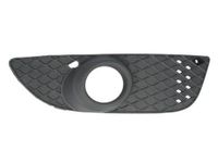 Ventilatiegrille, bumper 6502073719920P
