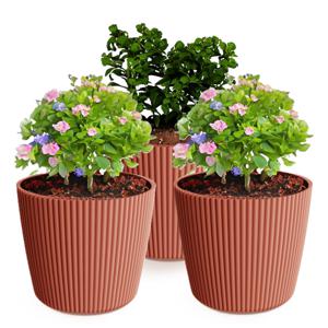 Plantenpot/bloempot Buckingham - 3x - buiten/binnen - kunststof - steenrood - D14 x H13 cm