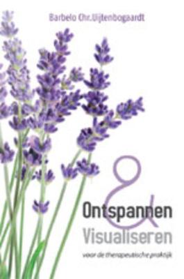 Ontspannen en visualiseren voor de therapeutische praktijk (Paperback)