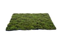 Kunst mos mat groen-bruin Medium 70X50 cm kerst - My village