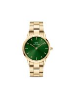 Daniel Wellington montre Iconic Link 36 mm - Vert