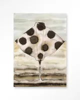 Eagle Ray