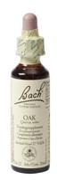 Bach Flower Remedies Zomereik 22