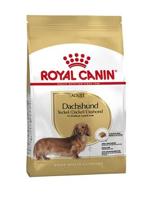 ROYAL CANIN DACHSHUND / TECKEL ADULT