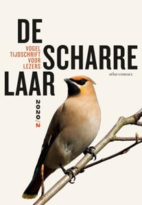 De scharrelaar (Paperback)