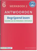 Begrijpend lezen (Paperback)