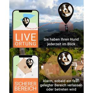 PAJ GPS PET Finder 4G GSM-tracker Huisdiertracker 1 stuk(s)